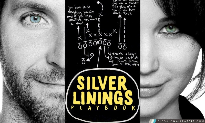 Silver Linings Playbook, Arrière-plans HD à télécharger