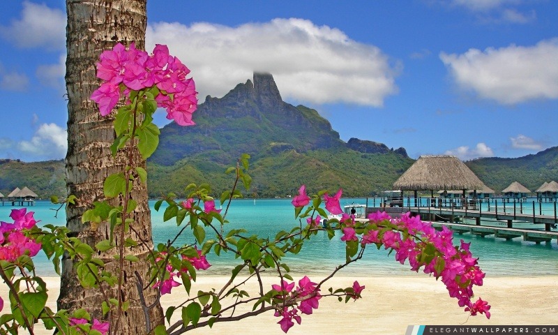 Bora Bora Paysage, Arrière-plans HD à télécharger