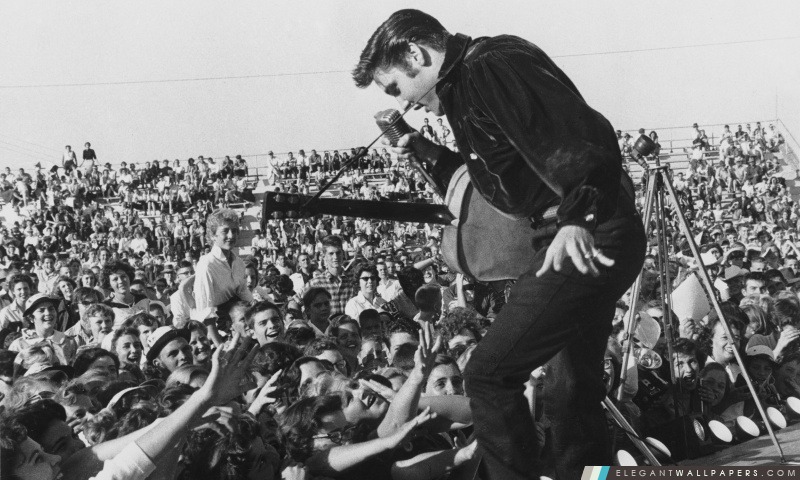 Elvis Presley In Concert, Arrière-plans HD à télécharger