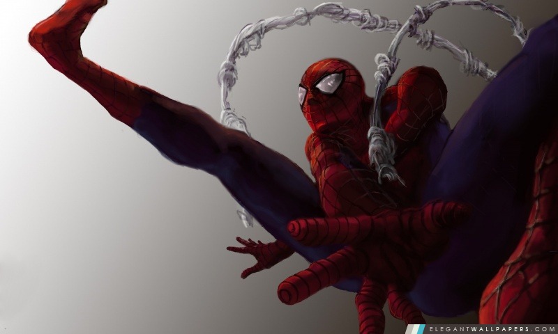 Spiderman motifs, Arrière-plans HD à télécharger