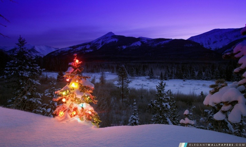 Arbre de Noël avec des lumières à l'extérieur dans les montagnes, Arrière-plans HD à télécharger