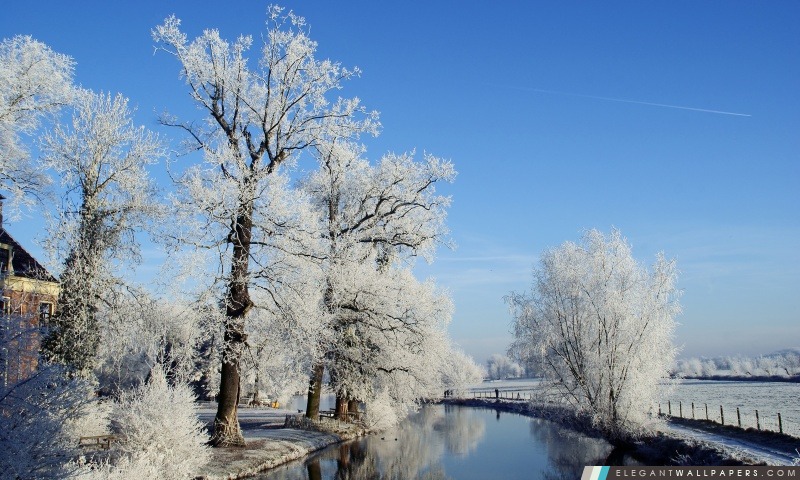 Paysage d'hiver, Utrecht, Pays-Bas, Arrière-plans HD à télécharger