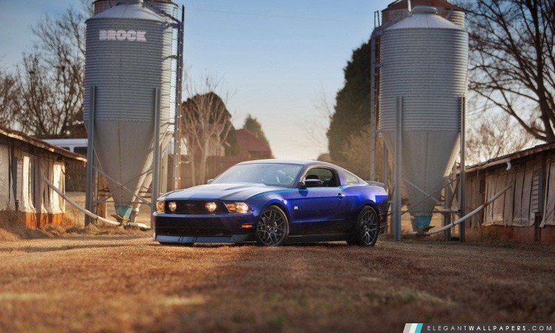 Ford Mustang, Arrière-plans HD à télécharger