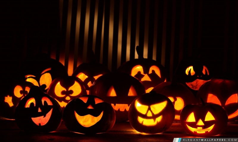 Halloween Pumpkins In The Dark, Arrière-plans HD à télécharger