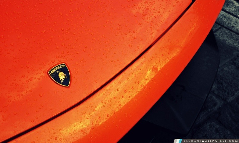 Logo Lamborghini, Arrière-plans HD à télécharger