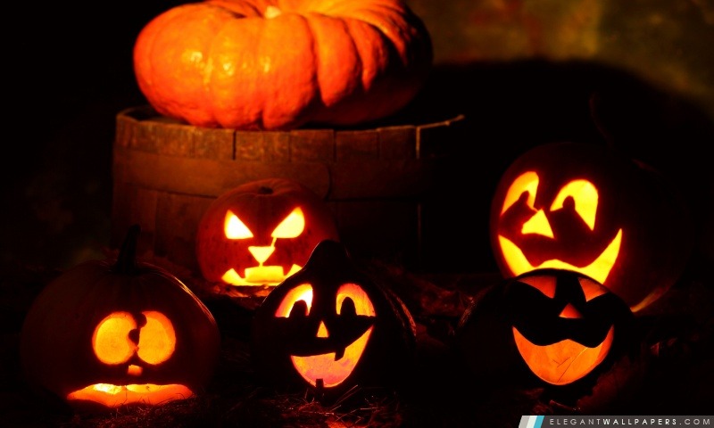Halloween Pumpkins éclairés, Arrière-plans HD à télécharger