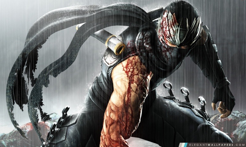 Ninja Gaiden 3, Arrière-plans HD à télécharger