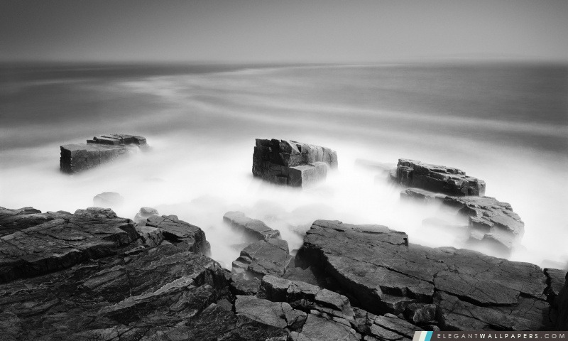 En noir et blanc Sea Mist, Arrière-plans HD à télécharger