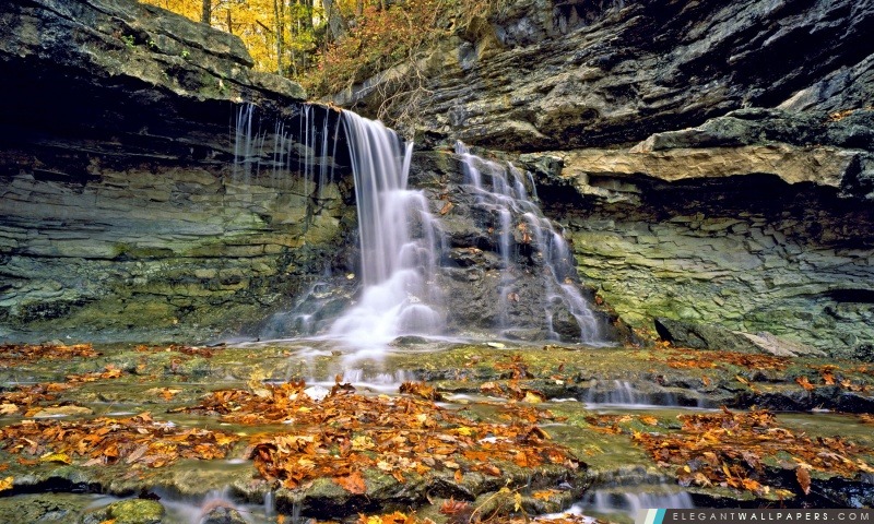 McCormicks Creek State Park en automne, Indiana, Arrière-plans HD à télécharger