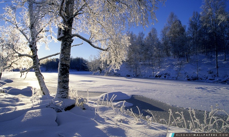 Frozen River, l'hiver, Arrière-plans HD à télécharger