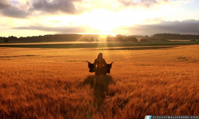 Femme heureuse dans le champ de blé d'or, Arrière-plans HD à télécharger