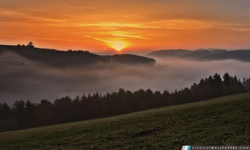 Foggy coucher du soleil, Arrière-plans HD à télécharger