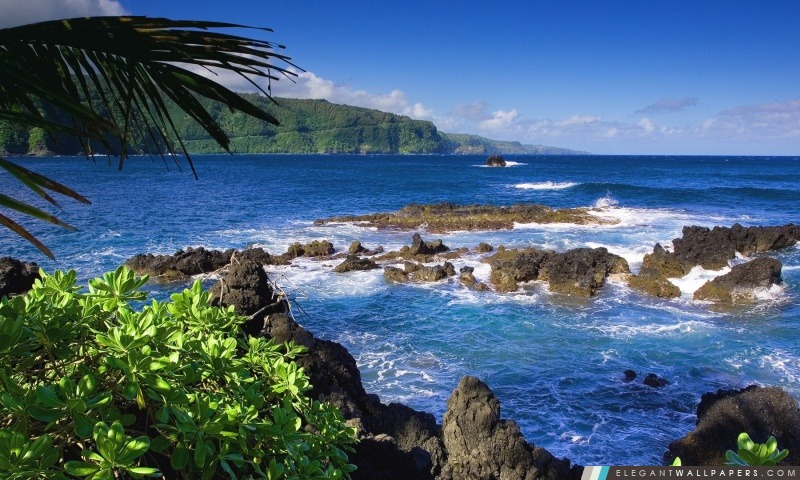 Maui, Hawaii, États-Unis, Arrière-plans HD à télécharger