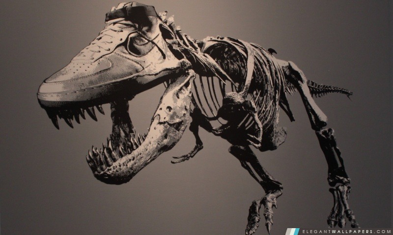 Tyrannosaurus, Arrière-plans HD à télécharger