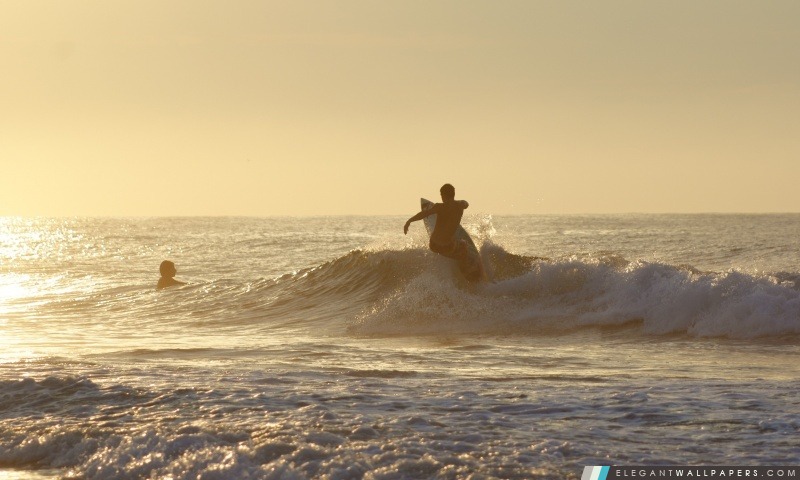 Matin Surfer, Arrière-plans HD à télécharger
