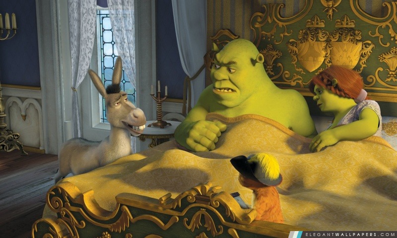 Âne, le Chat Potté, Shrek et la princesse Fiona, Arrière-plans HD à télécharger