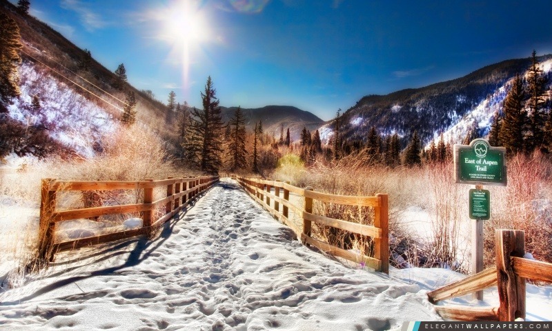 Aspen Trail, hiver, Arrière-plans HD à télécharger