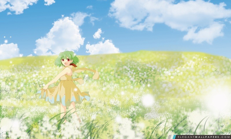 Anime Girl Dans le domaine de fleur, Arrière-plans HD à télécharger