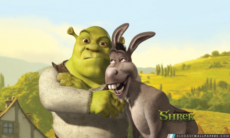 Shrek et l'âne, Shrek The Final Chapter, Arrière-plans HD à télécharger