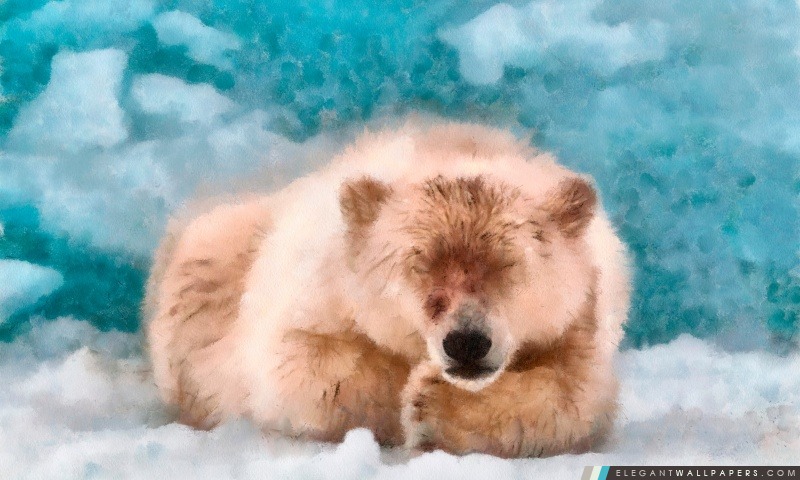 Polar Bear Sleeping DAP Aquarelle, Arrière-plans HD à télécharger