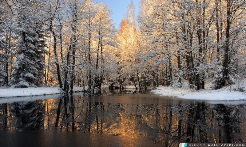 Lake Forest, hiver, Arrière-plans HD à télécharger