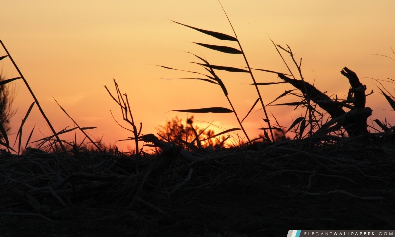 Sistan Sunset par Hojat.GoliMahmoudi, Arrière-plans HD à télécharger