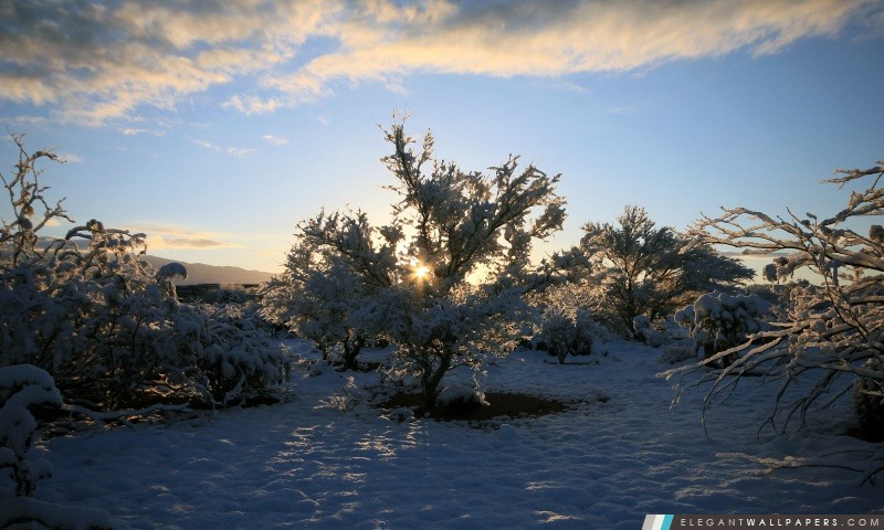 Winter Sunrise 3, Arrière-plans HD à télécharger