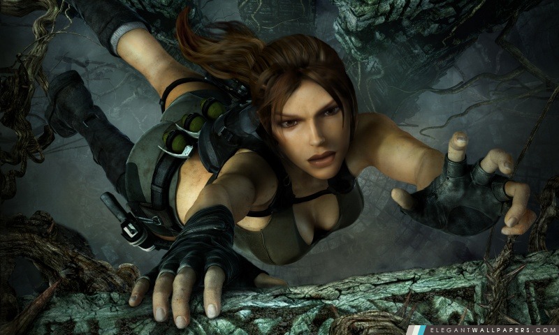 Tomb Raider Underworld Lara Croft en baisse, Arrière-plans HD à télécharger