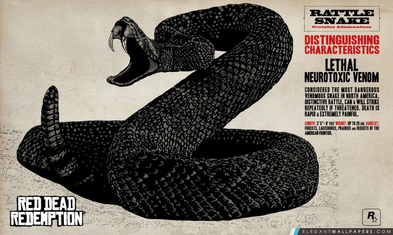 Rattlesnake de Red Dead Redemption, Arrière-plans HD à télécharger