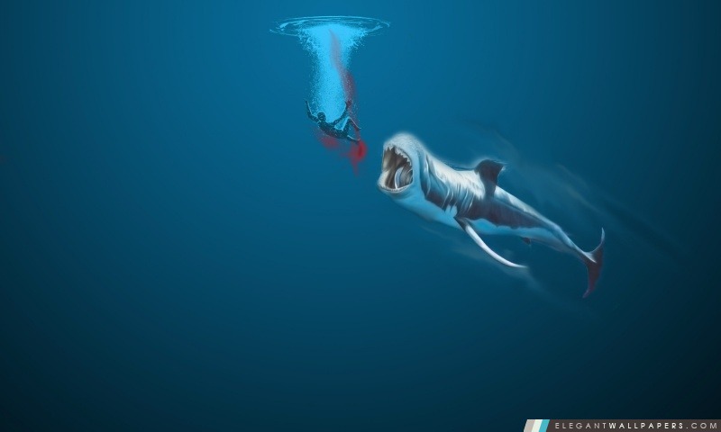 Baleine, Arrière-plans HD à télécharger