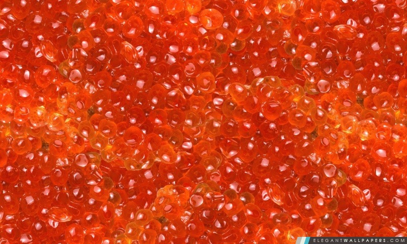 Salmon Caviar, Arrière-plans HD à télécharger
