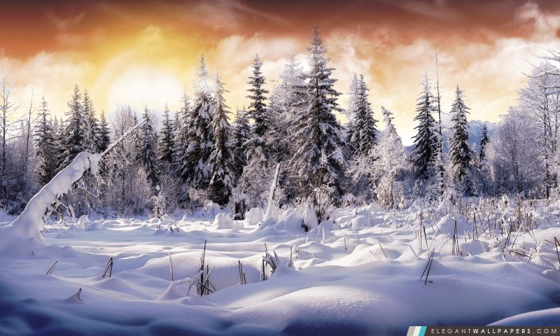 Winter Wonderland, Arrière-plans HD à télécharger