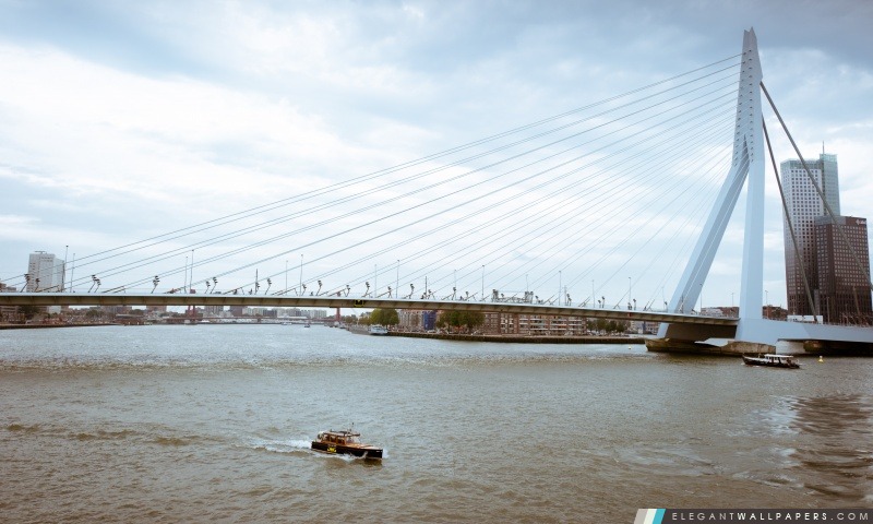 Pont Erasmus, Rotterdam, Pays-Bas, Arrière-plans HD à télécharger