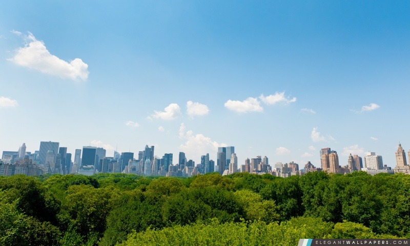 Central Park, New York City, Arrière-plans HD à télécharger