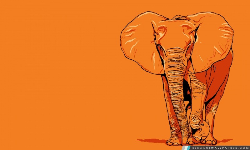 Elephant Vector Art, Arrière-plans HD à télécharger