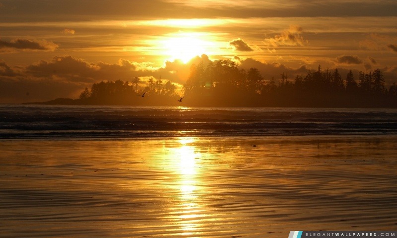 Scène de plage de Sunrise, Arrière-plans HD à télécharger