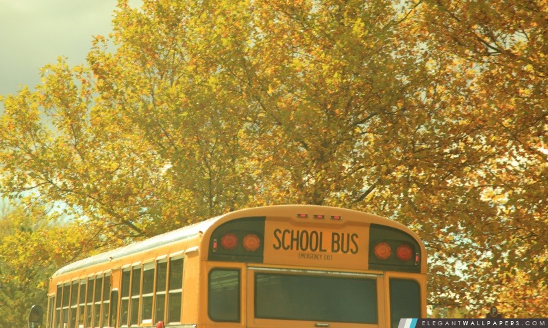Autobus scolaire Nostalgie, Arrière-plans HD à télécharger
