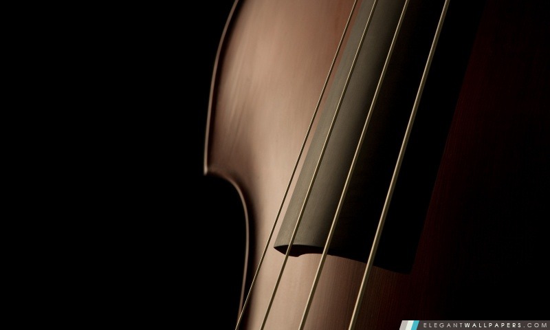 Double Bass Close Up, Arrière-plans HD à télécharger