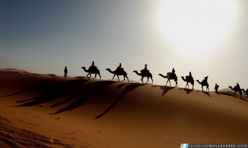 Desert Caravan, Arrière-plans HD à télécharger