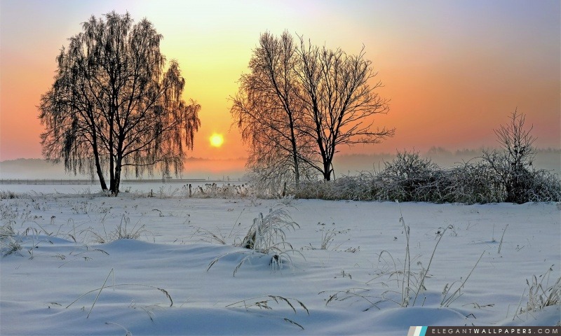 Winter Sunrise, Arrière-plans HD à télécharger