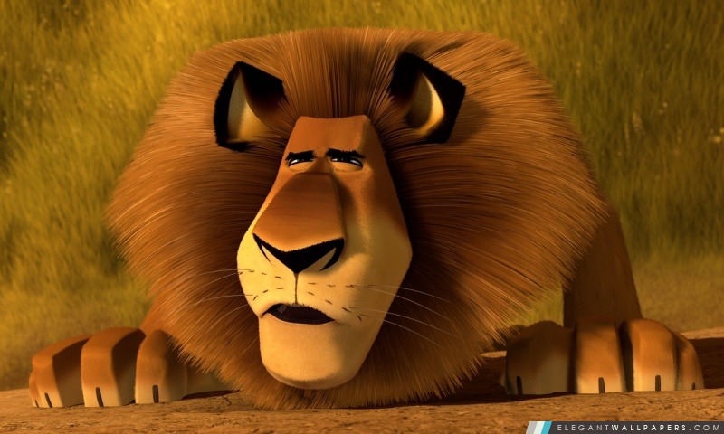 Madagascar 3 Alex le lion, Arrière-plans HD à télécharger