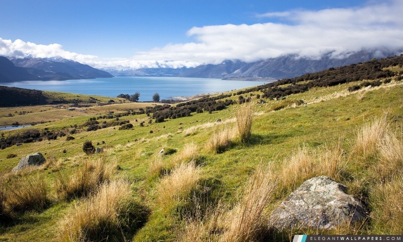 Paysage En Nouvelle-Zélande, Arrière-plans HD à télécharger