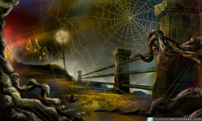 Toile d'araignée Halloween Hallowmas, Arrière-plans HD à télécharger