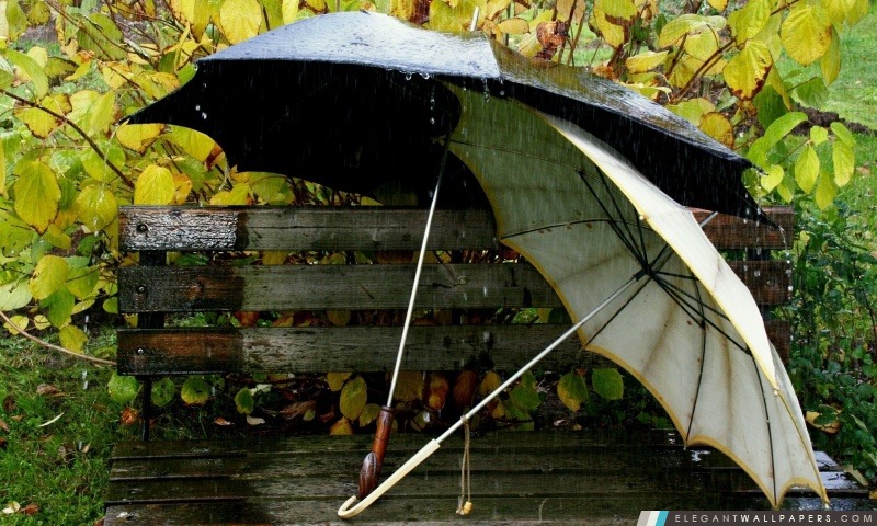 Parapluies sur le banc, Arrière-plans HD à télécharger