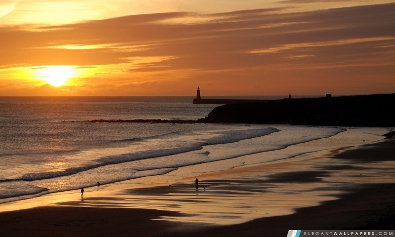 Belle plage au coucher du soleil, Arrière-plans HD à télécharger