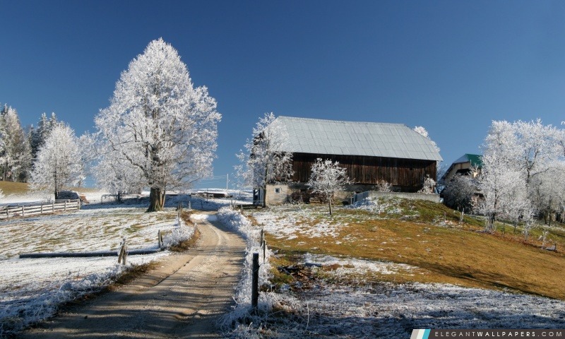Slovenias Winter Wonderland, Arrière-plans HD à télécharger