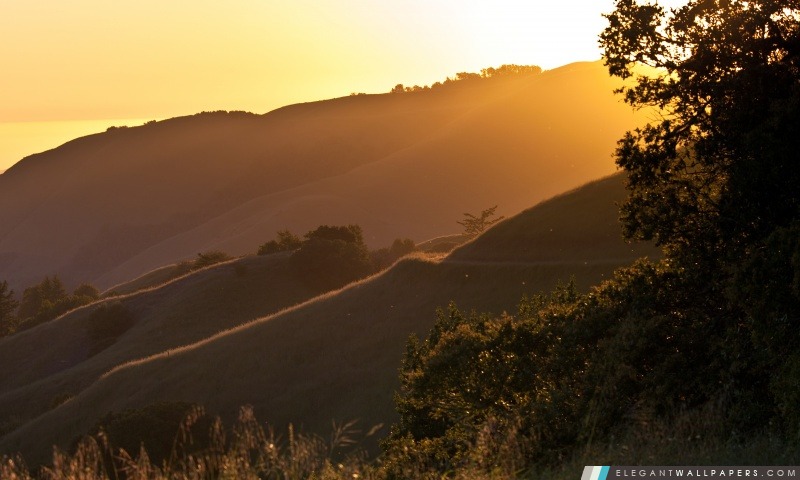 Coucher de soleil sur Russian Ridge, Californie, Arrière-plans HD à télécharger