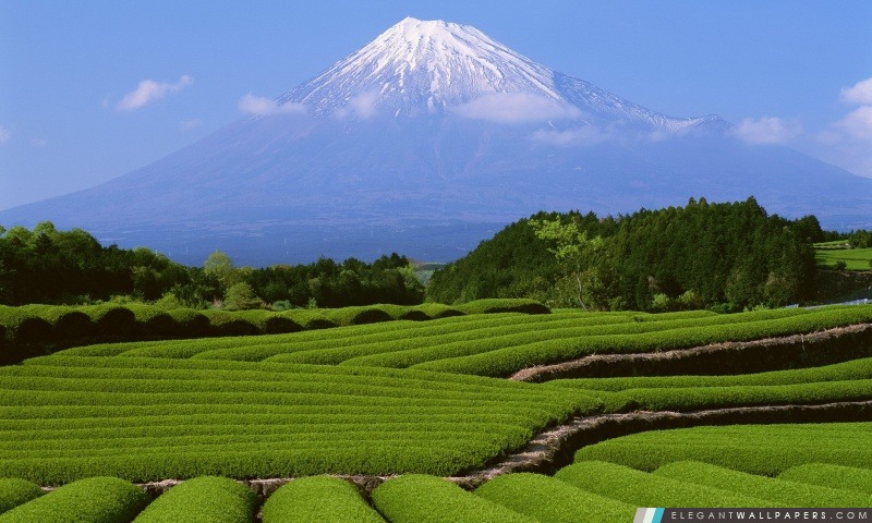 Mont Fuji, Japon, Arrière-plans HD à télécharger