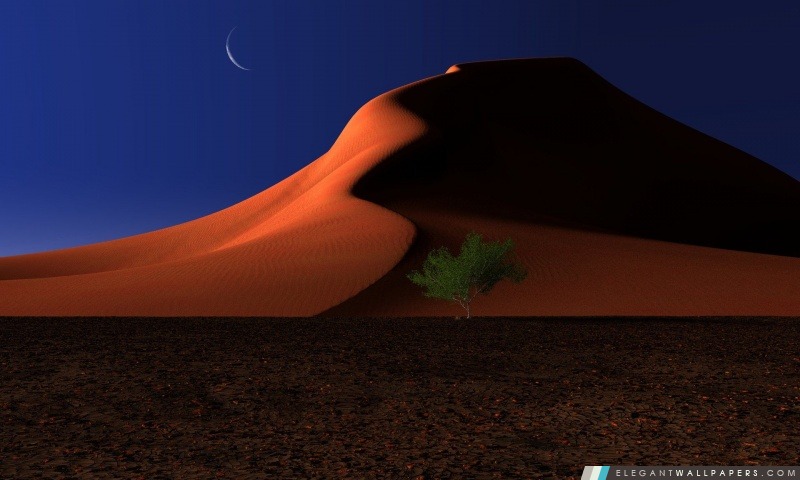 Nuit dans le désert, Arrière-plans HD à télécharger