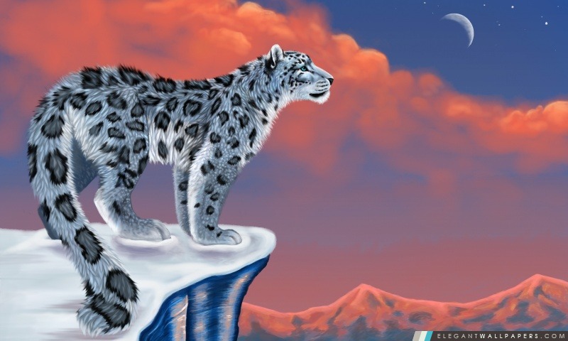 Dessin de Snow Leopard, Arrière-plans HD à télécharger